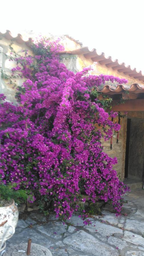 פנלה Casa De Chanca מראה חיצוני תמונה