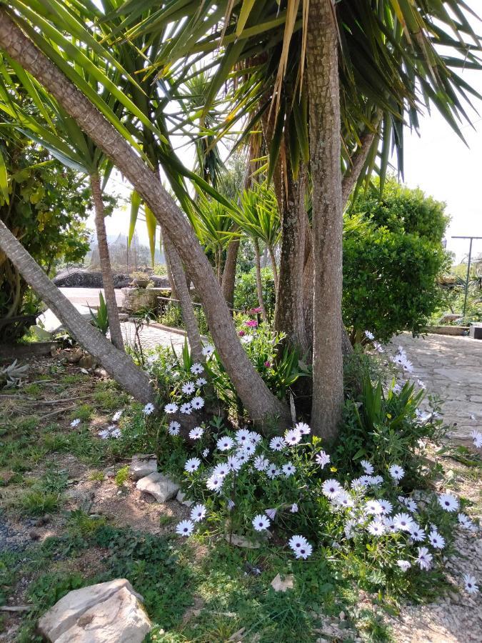 פנלה Casa De Chanca מראה חיצוני תמונה
