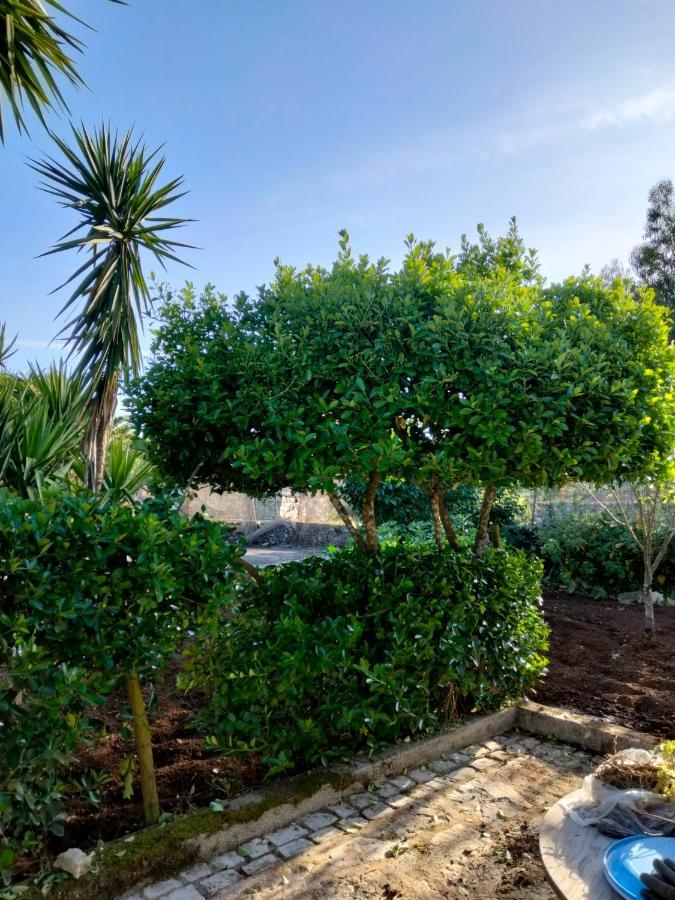 פנלה Casa De Chanca מראה חיצוני תמונה
